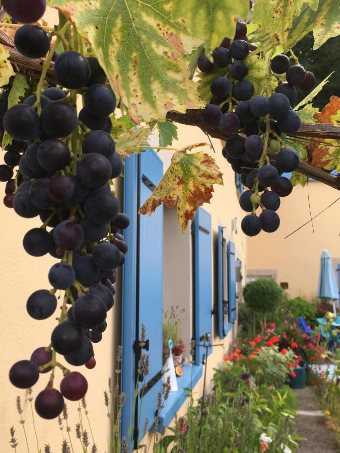 مبيت وإفطار Saint-Barthelemy  La Mesange Bleue المظهر الخارجي الصورة